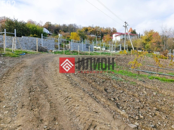 
  Продается земельный участок 12 соток. Фото 6.