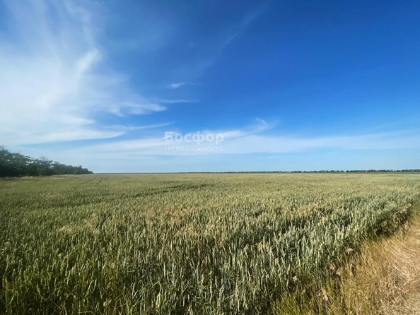
  Продается земельный участок 11200 соток. Фото 1.