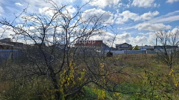 
  Продается земельный участок 6 соток. Фото 4.
