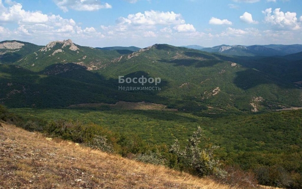 
  Продается земельный участок 200 соток. Фото 1.