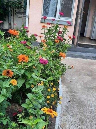 
  Продается дом 30 м². Фото 11.