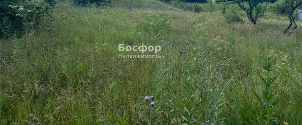
  Продается земельный участок 18 соток. Фото 2.