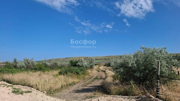 
  Продается земельный участок 50 соток. Фото 2.