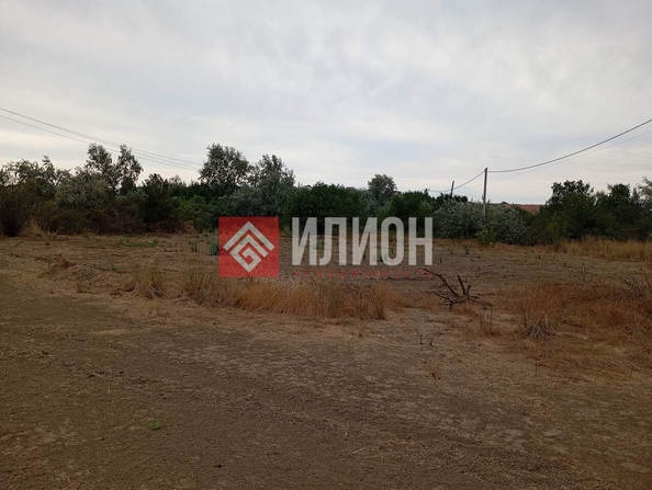 
  Продается земельный участок 10 соток. Фото 4.