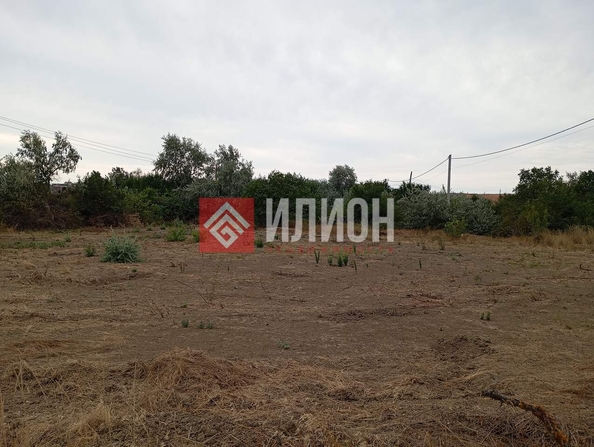 
  Продается земельный участок 10 соток. Фото 5.