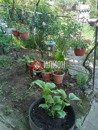 
  Продается дом 50.6 м². Фото 13.