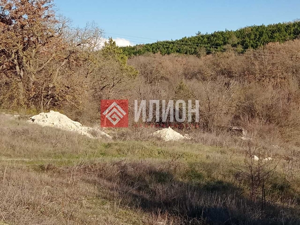
  Продается земельный участок 10 соток. Фото 4.