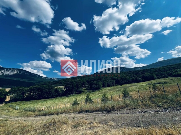 
  Продается земельный участок 60 соток. Фото 3.