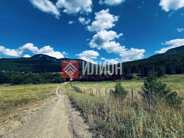 
  Продается земельный участок 60 соток. Фото 5.