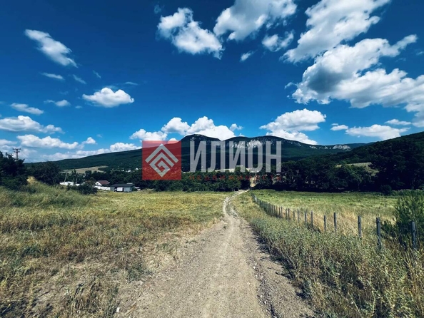 
  Продается земельный участок 60 соток. Фото 6.