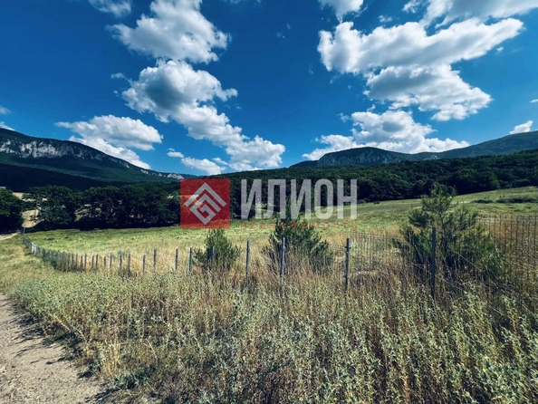 
  Продается земельный участок 60 соток. Фото 7.