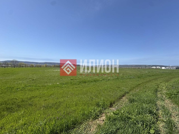
  Продается земельный участок 99 соток. Фото 2.