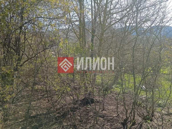 
  Продается земельный участок 10.5 соток. Фото 12.