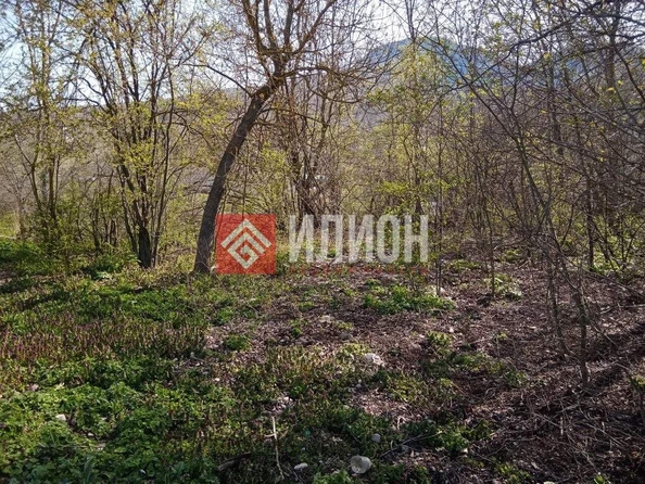 
  Продается земельный участок 10.5 соток. Фото 15.