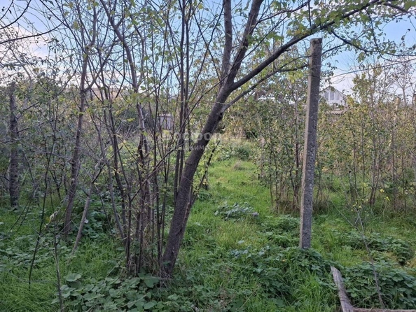 
  Продается дом 43 м². Фото 9.