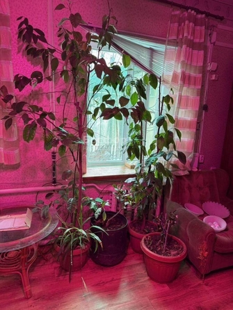 
  Продается дом 156.3 м². Фото 20.