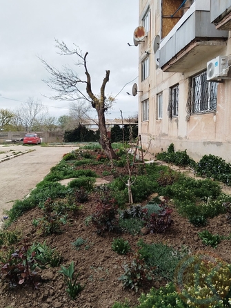 
  Продается 1-комн. квартира 29.8 м². Фото 13.