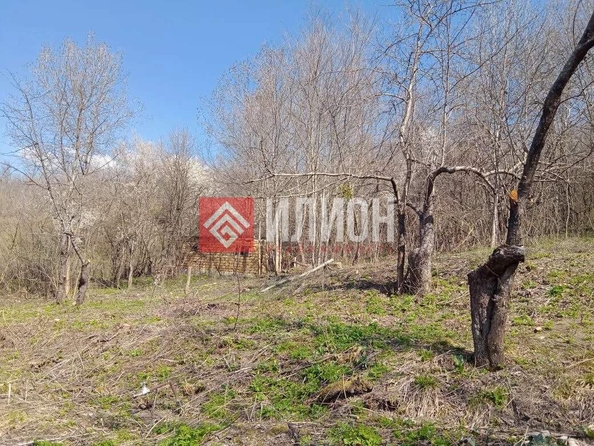 
  Продается земельный участок 25 соток. Фото 11.
