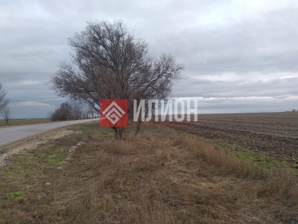 
  Продается земельный участок 762 сотки. Фото 4.