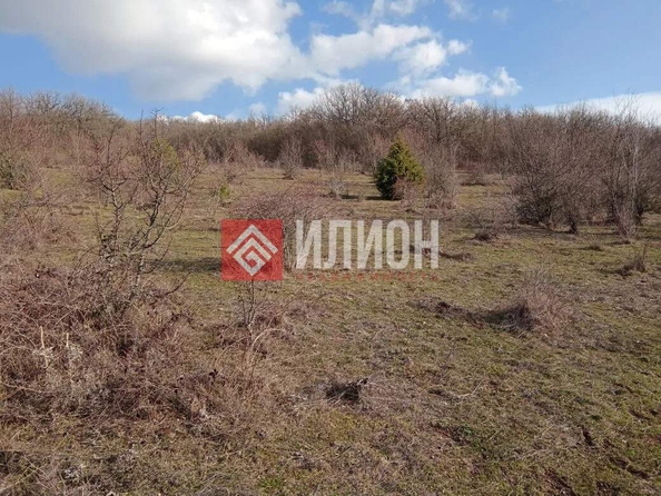 
  Продается земельный участок 80 соток. Фото 1.