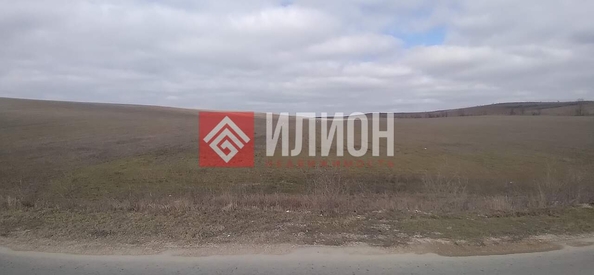 
  Продается земельный участок 480 соток. Фото 5.