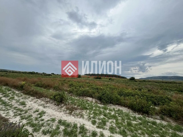 
  Продается земельный участок 130 соток. Фото 1.