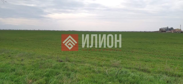 
  Продается земельный участок 8 соток. Фото 6.