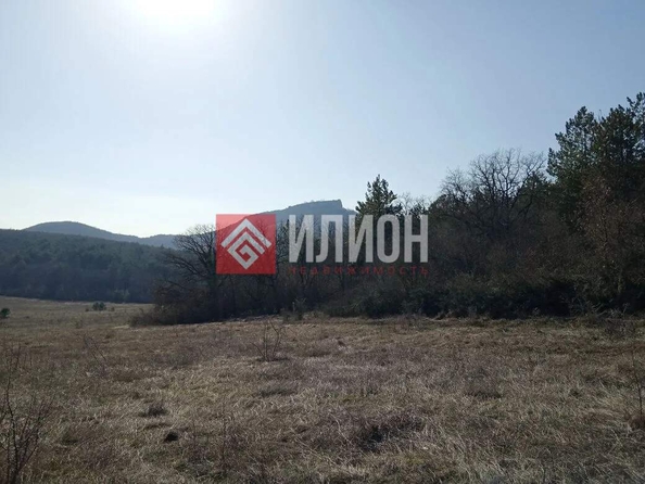
  Продается земельный участок 76.9 соток. Фото 4.