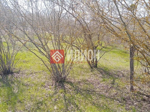 
  Продается земельный участок 76.9 соток. Фото 7.