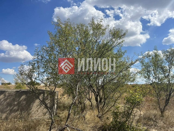 
  Продается земельный участок 6 соток. Фото 10.