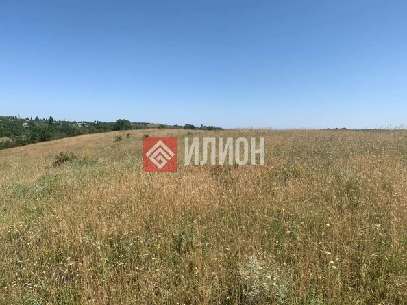 
  Продается земельный участок 100 соток. Фото 4.