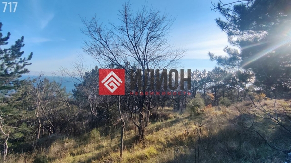 
  Продается земельный участок 9 соток. Фото 4.