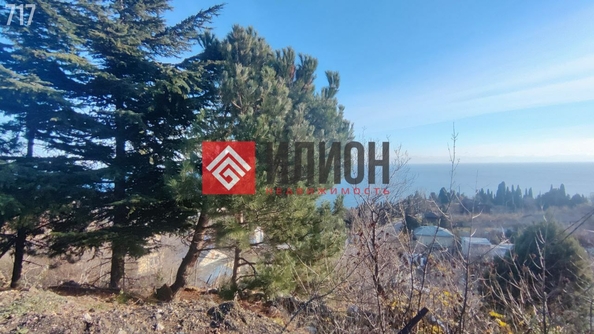 
  Продается земельный участок 9 соток. Фото 6.