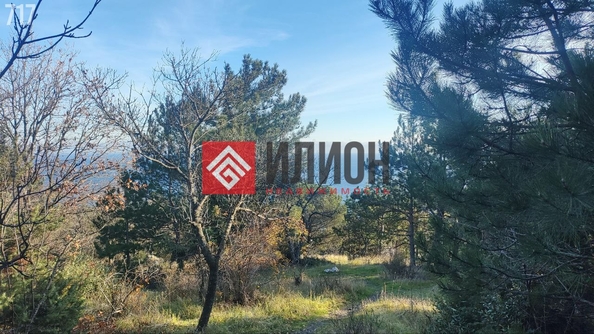 
  Продается земельный участок 9 соток. Фото 7.