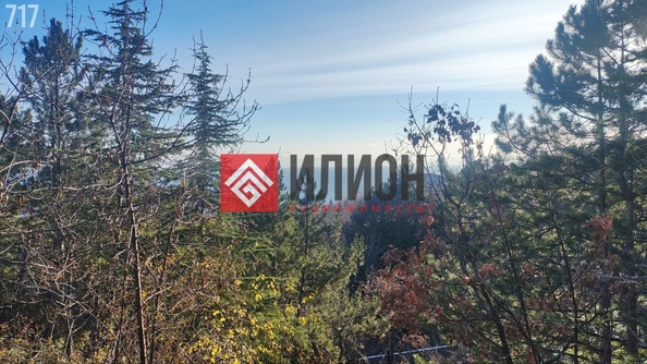 
  Продается земельный участок 9 соток. Фото 9.