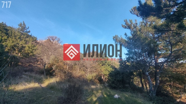 
  Продается земельный участок 9 соток. Фото 10.