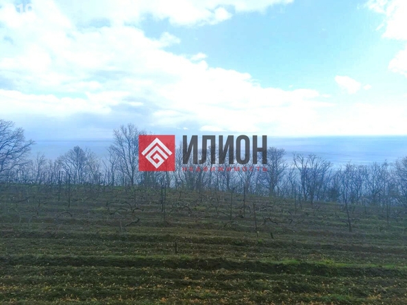 
  Продается земельный участок 10 соток. Фото 4.