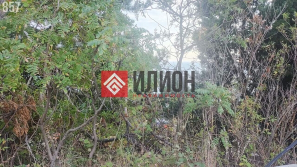 
  Продается земельный участок 143.5 сотки. Фото 14.