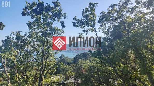 
  Продается земельный участок 17.6 соток. Фото 7.