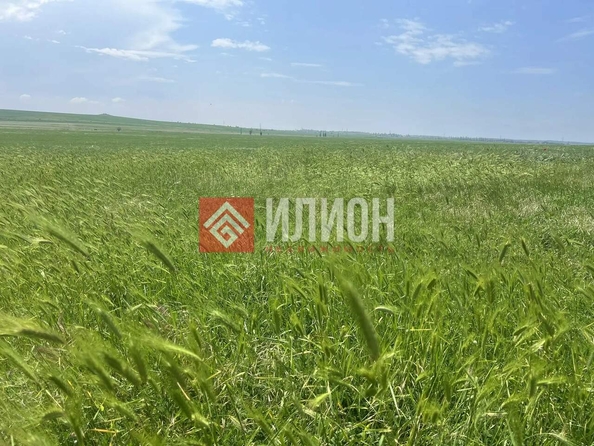 
  Продается земельный участок 6.4 соток. Фото 2.