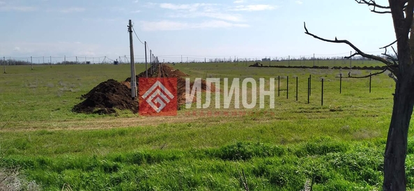 
  Продается земельный участок 6 соток. Фото 2.