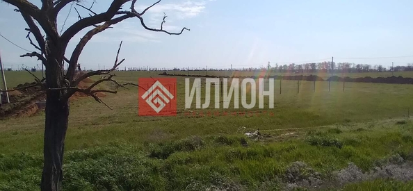 
  Продается земельный участок 6 соток. Фото 4.