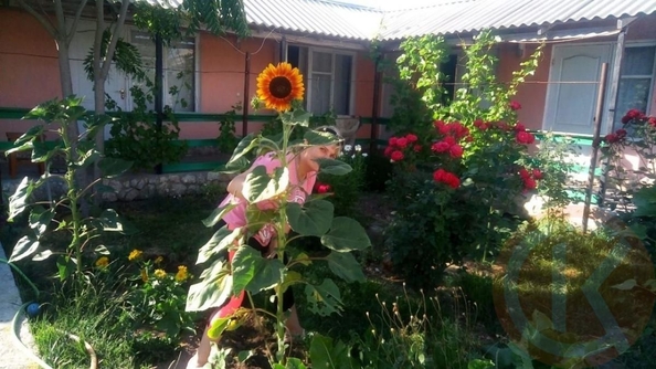 
  Продается дом 50 м². Фото 19.