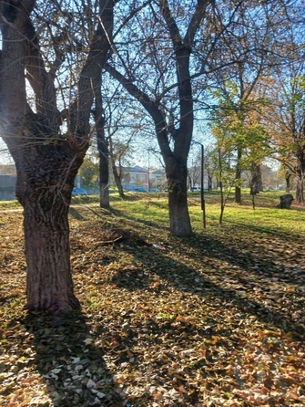 
  Продается земельный участок 6 соток. Фото 5.