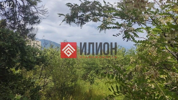 
  Продается земельный участок 40 соток. Фото 4.