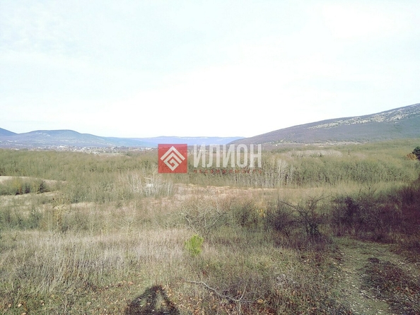 
  Продается земельный участок 15 соток. Фото 4.