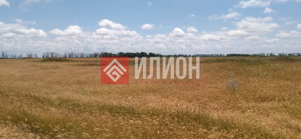 
  Продается земельный участок 5.8 соток. Фото 1.