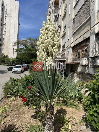 
  Продается 2-комн. квартира 53 м². Фото 15.
