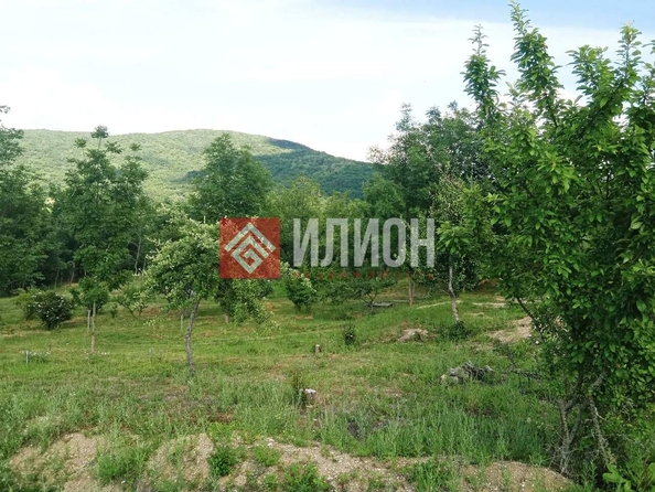 
  Продается земельный участок 116 соток. Фото 5.