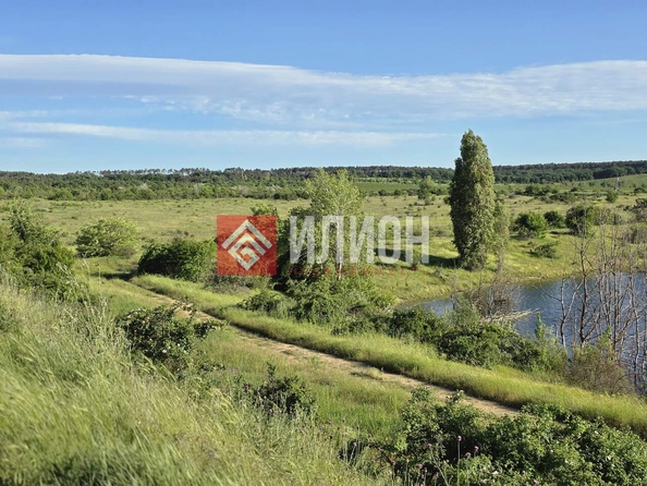 
  Продается земельный участок 800 соток. Фото 4.